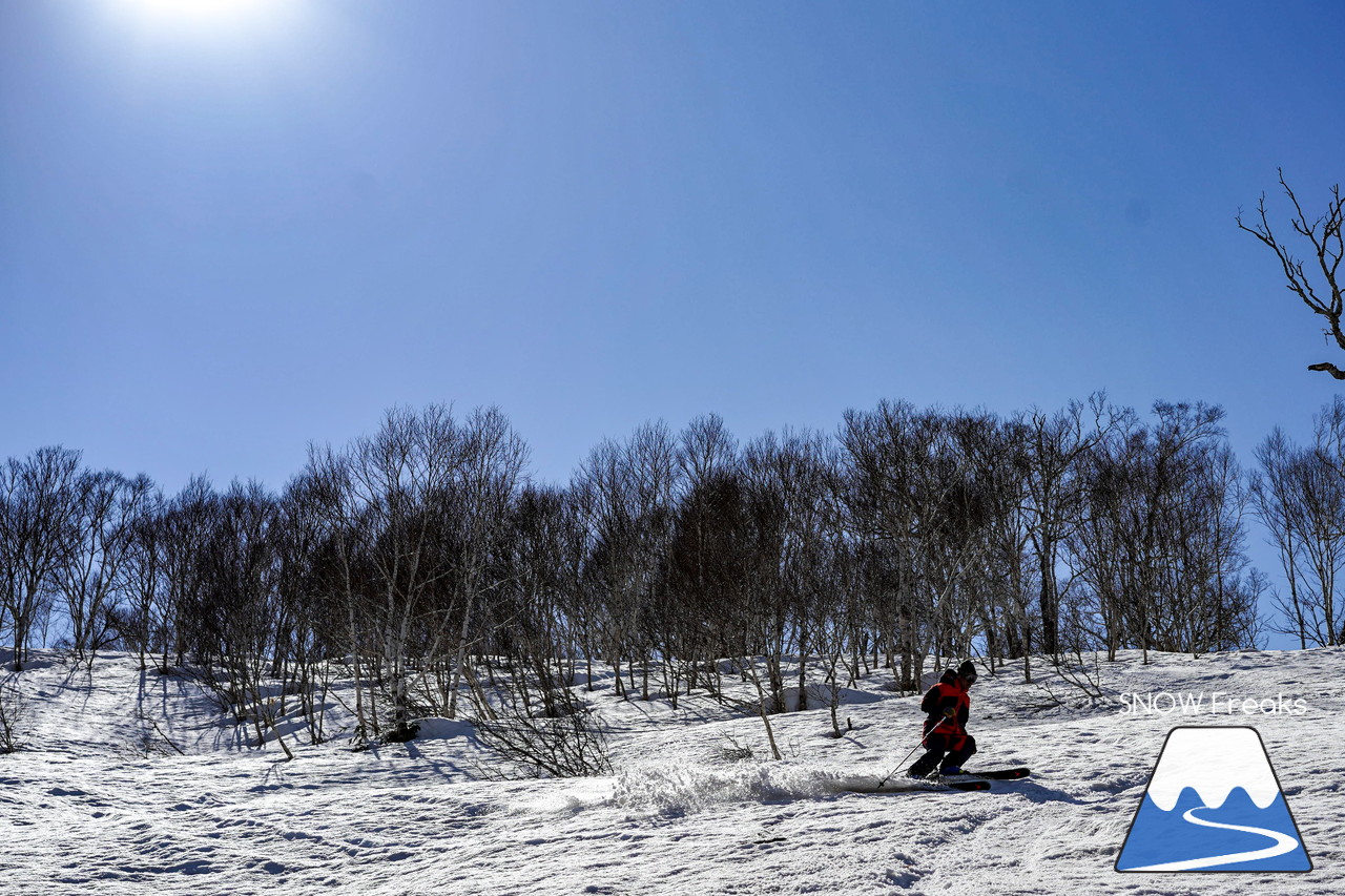 ニセコグラン・ヒラフ DYNASTAR SKI TEST RIDE DAYS Photo Session!!最高の天気に恵まれたニセコに、最高の仲間たちが集まりました☆